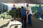 Photo of Councilmember Sherman with Christmas Tree